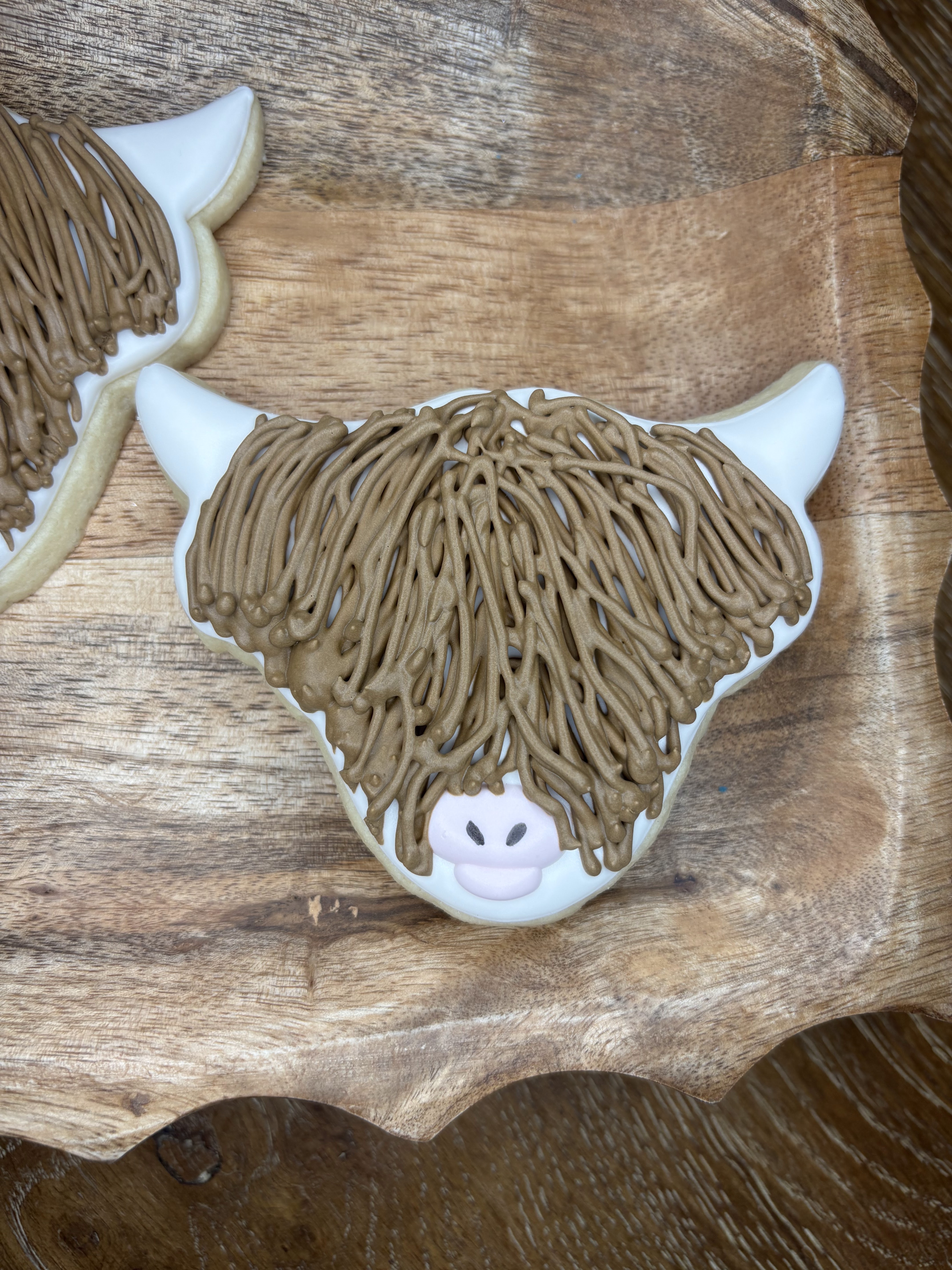 Highland cow detailed texture piping closeup