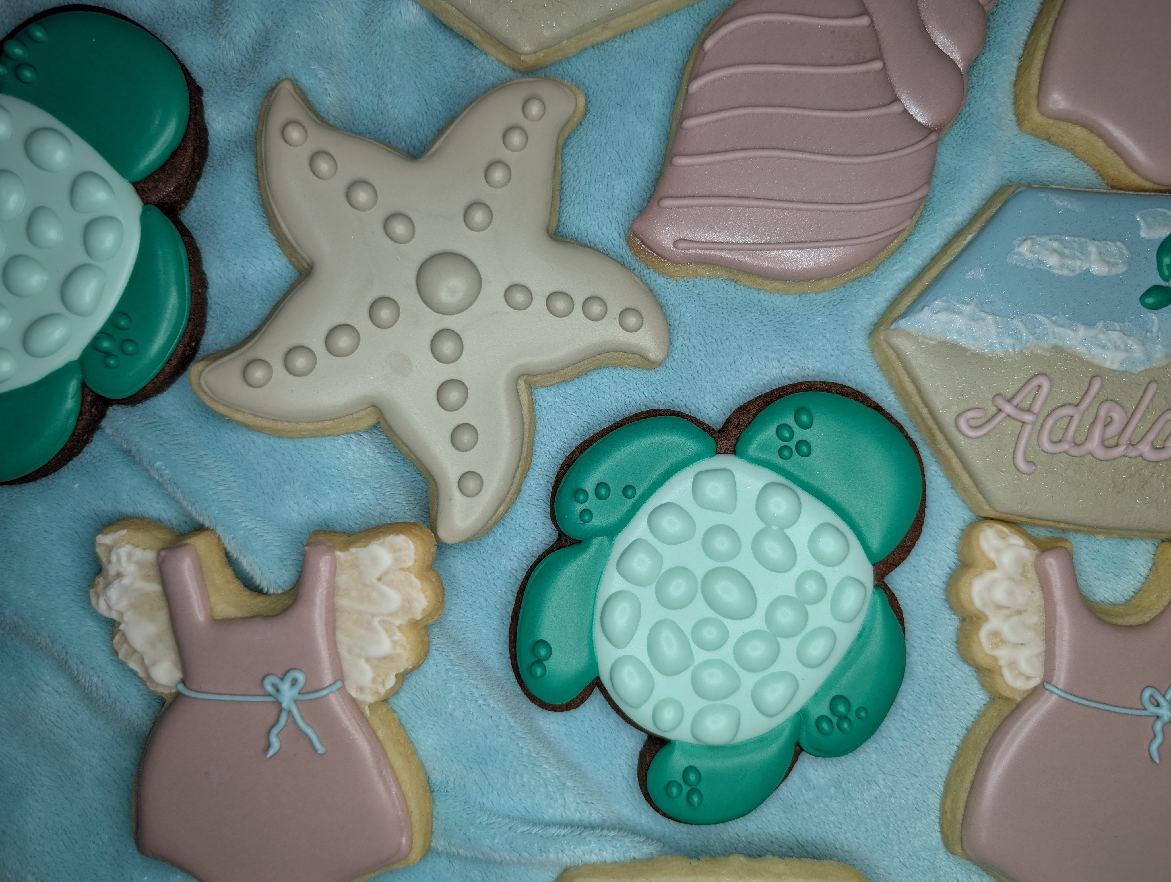 Ocean sea turtle starfish collection